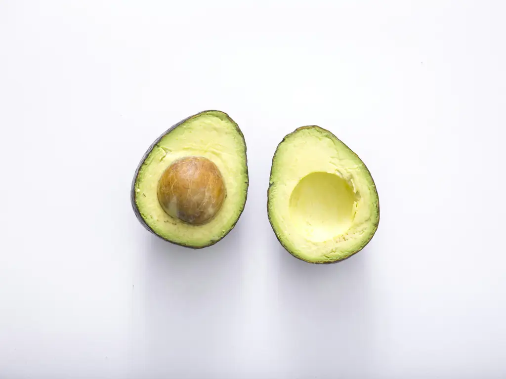 料理基本知識大全：從零開始成為廚房達人